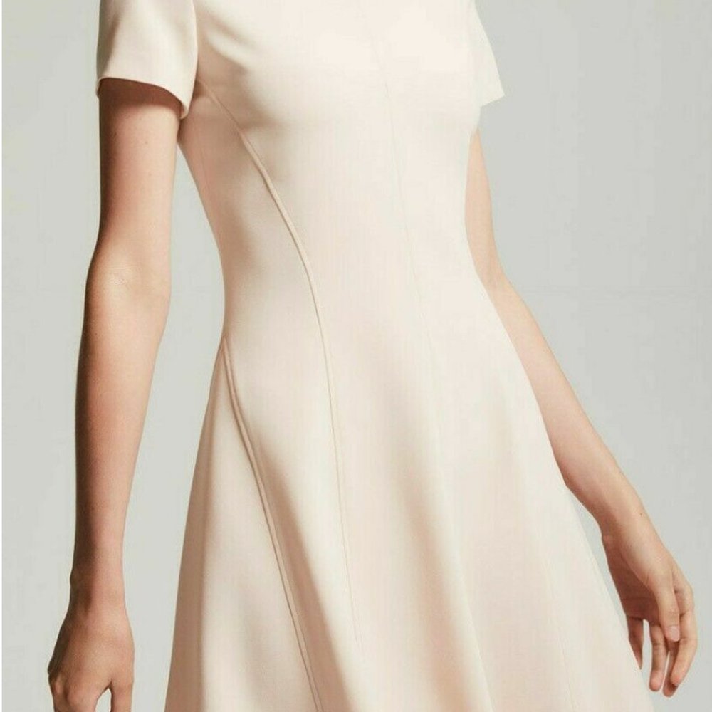 NWT Theory Pink Shift Crepe Dress Size 4 (Originally $365)